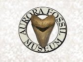 Aurora Fossil Festival