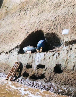 forced men spank sex amateur paleontology excavations