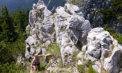 Cave Bears: Paleolithic Treasures of the Carpathians
