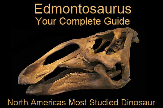 Complete Guide to the Edmontosaurus Dinosaur