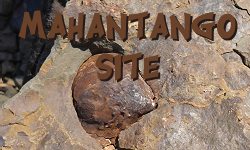Mahantango Fossil Site