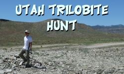Utah Trilobite Hunt