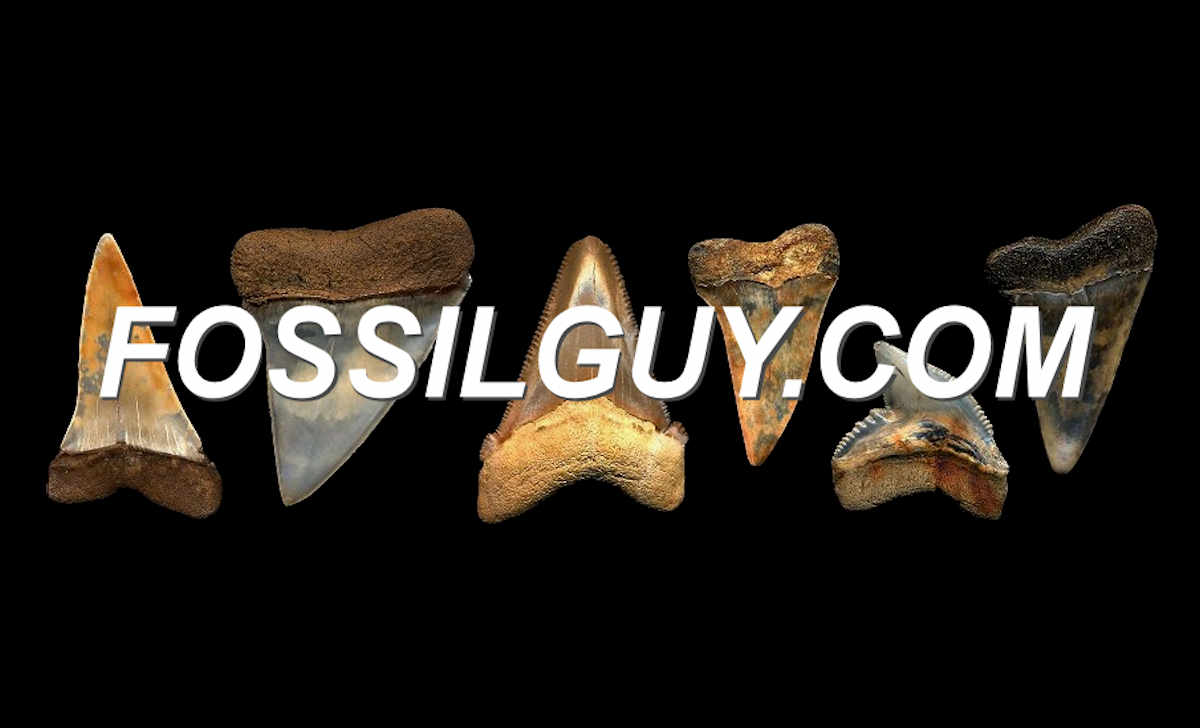Fossilguy.com Logo Image