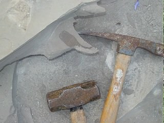 Fossil Hunting for Sea Scorpions in New York