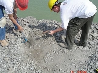 Searching for Eurypterid Sea Scorpion Fossils