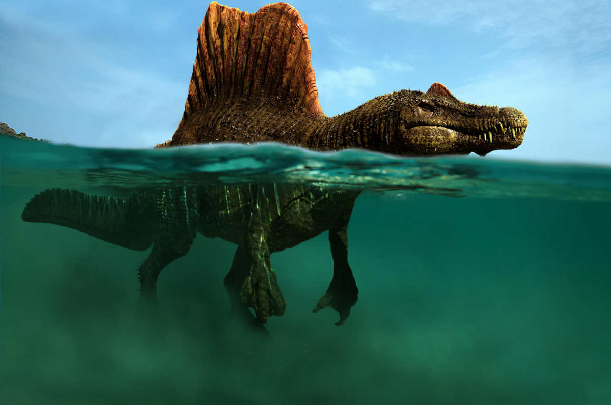 Spinosaurus aegyptiacus wading in shallow water, possibly stalking fish. Rendering by Johnson-Mortimer
