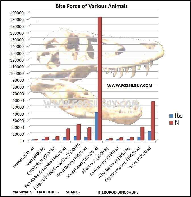 tyrannosaurus rex research paper