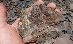 mahantango fossil collecting trip