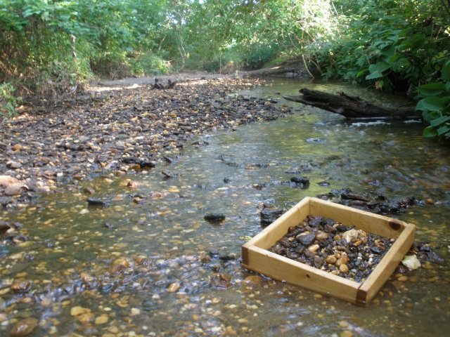 Big Brook Fossils - Fossil Hunting Location