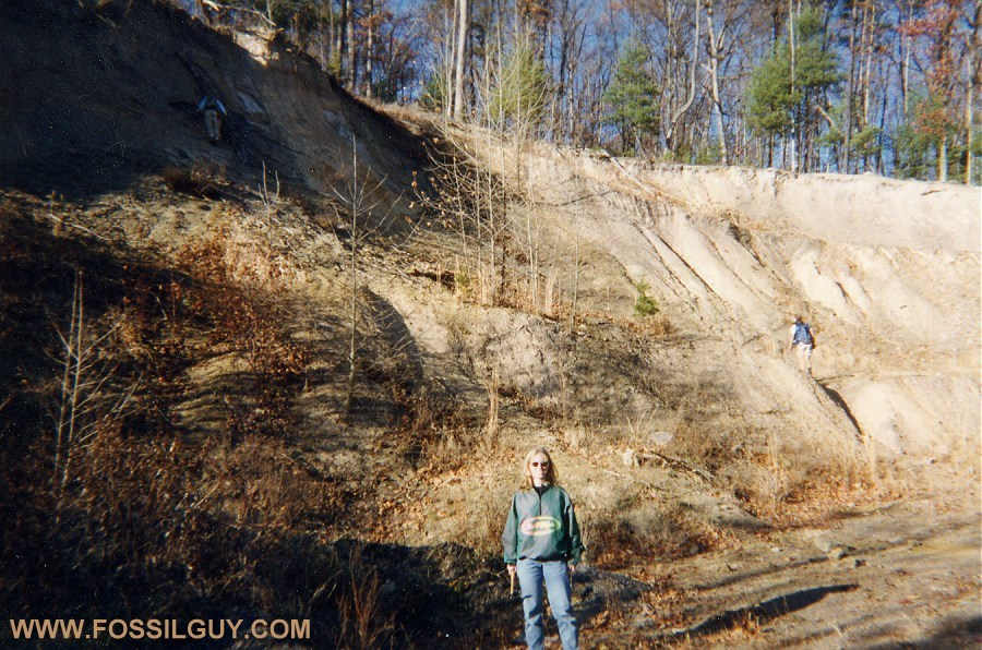 Fossil Hunting in West Virginia