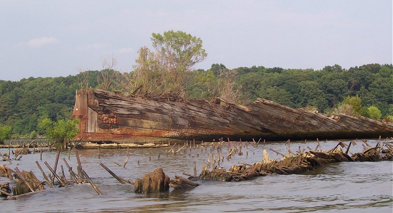 Mallows Bay is dotted with shipwrecks