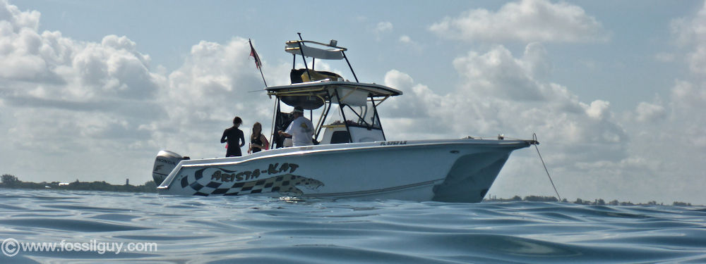 Diving with Aristakatcharters for megalodon teeth off of Venice Beach, Florida