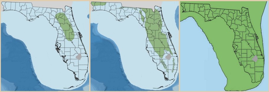 Geologic maps of Florida showing the
uplift of Orange island and the Pleistocene glaciation