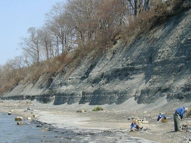 Western New York Fossils - Fossil Hunting Location