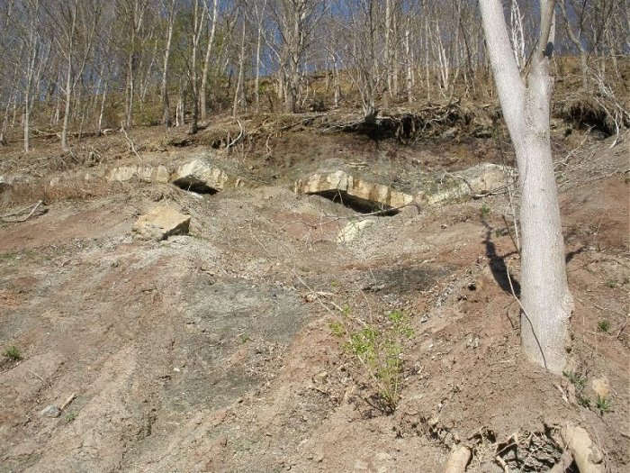 This picture shows an outcropping of Ames limestone. It's the large blocks sticking out toward the top of the hill. Notice the pitttsburgh