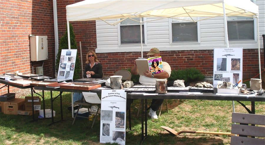 Fossil display at the Nanjemoy Heritage day