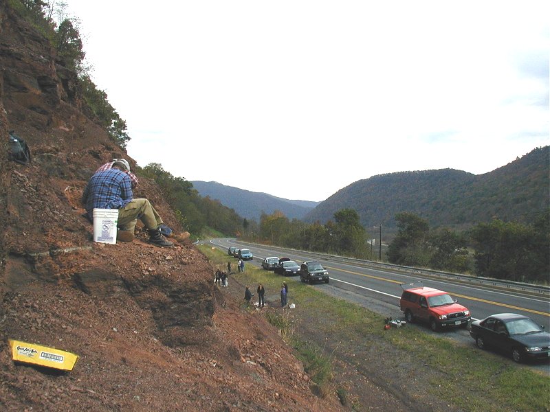 Club members are collecting along Red Hill Fossil Site