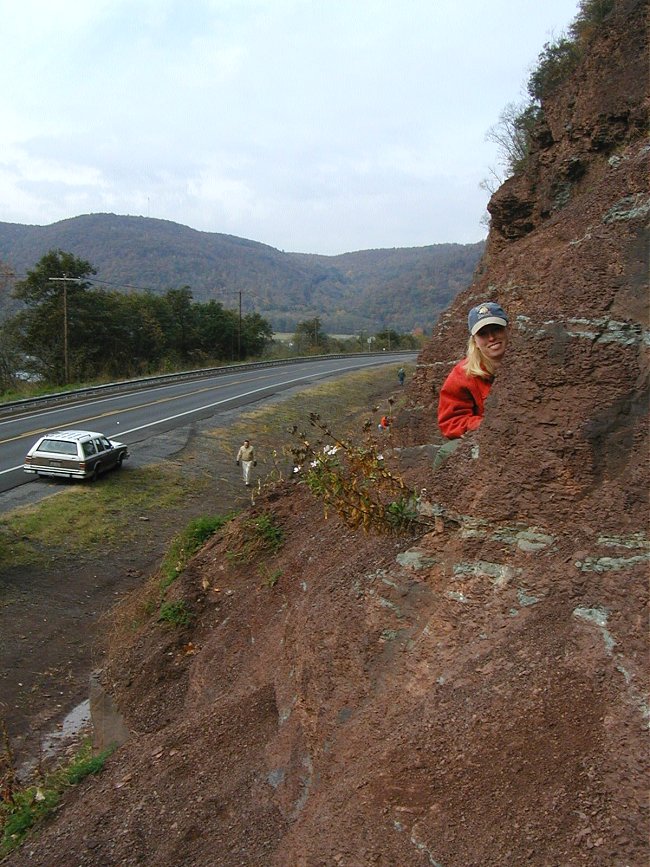 The Red Hill Devonian Fossil Site