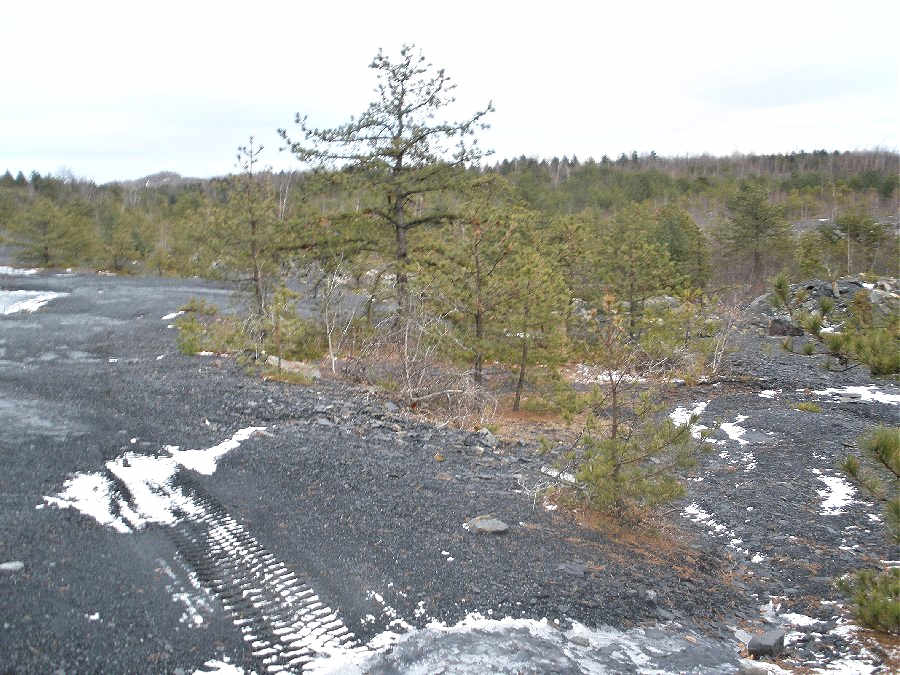 Here is the abandoned strip mine that exposes the Llewellyn Formation, which is Pennsylvanian in age.