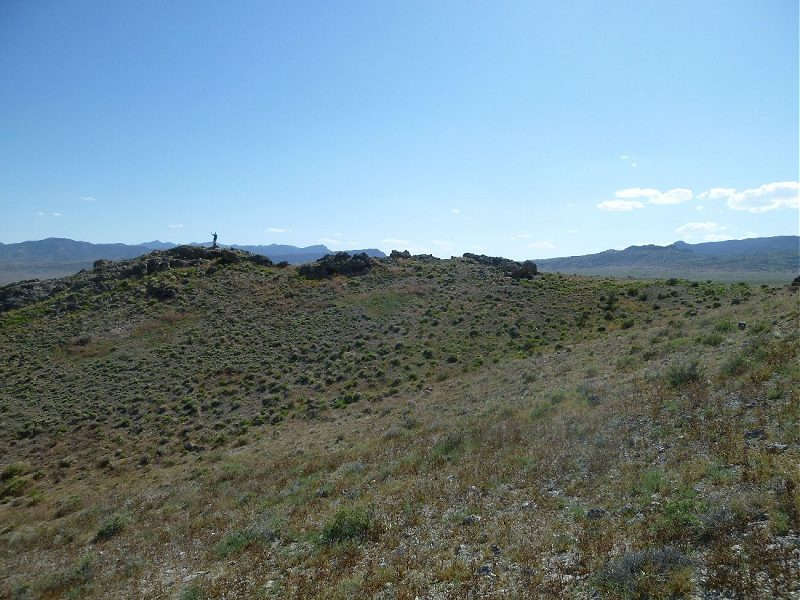 Anyone that has fossil collected with me knows I am a lazy collector... Easily sidetracked... This photo is during a hike in the desert looking for rattlesnakes and other critters instead of fossils.