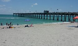 Venice Beach, Florida Fossil Site