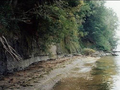 Potomac River Fossil Site - Maryland