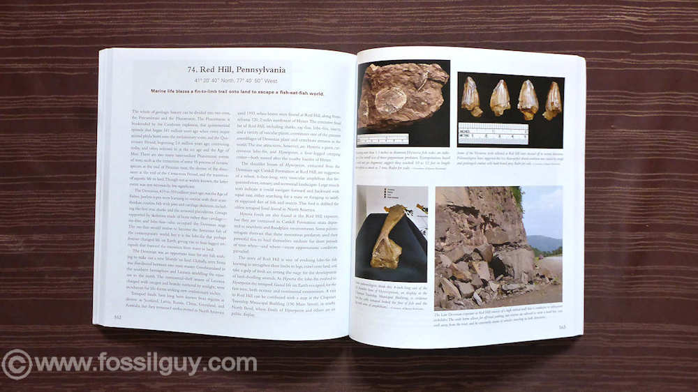 Book Review: 101 American Fossil Sites You've Gotta See