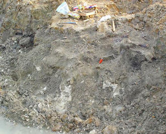 Image of the fossil
bone layer and view of the fossil site in general