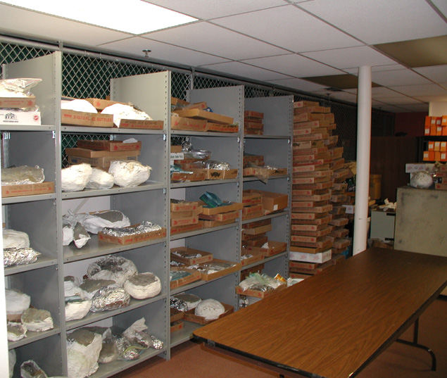 First 3 rows are all Pleistocene Camelot Stuff and it's only partially viewable!!