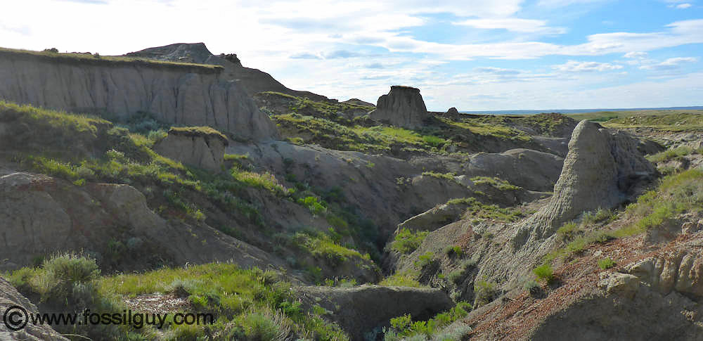 The badlands of South Dakota contain exposures of the Hell Creek formation.