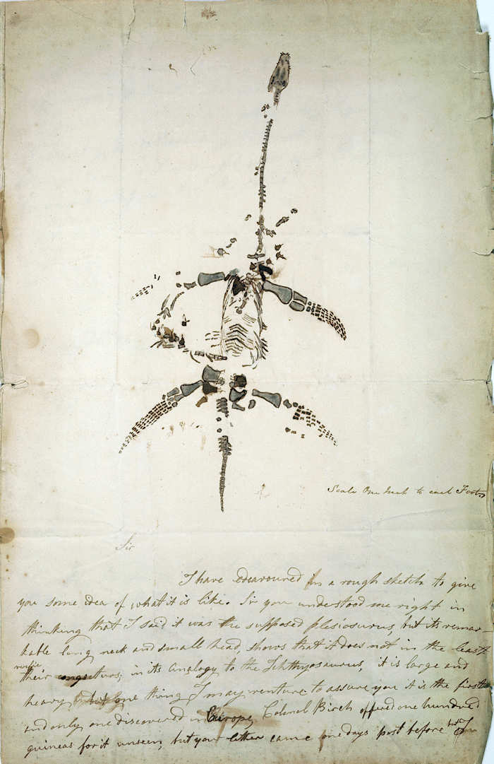 Mary Anning's letter from December 26, 1823 discussing her Plesiosaurus discovery. (Public Domain).