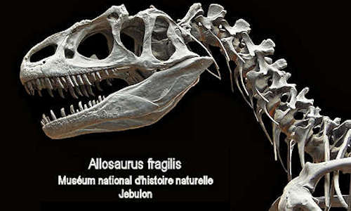 Allosaurus facts