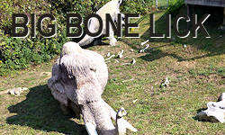 Big Bone LIck State Park - Ice Age Fossils