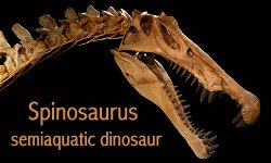 Spinosaurus facts and information