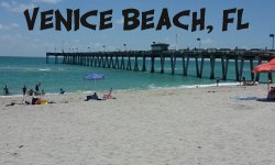 Venice Beach Site