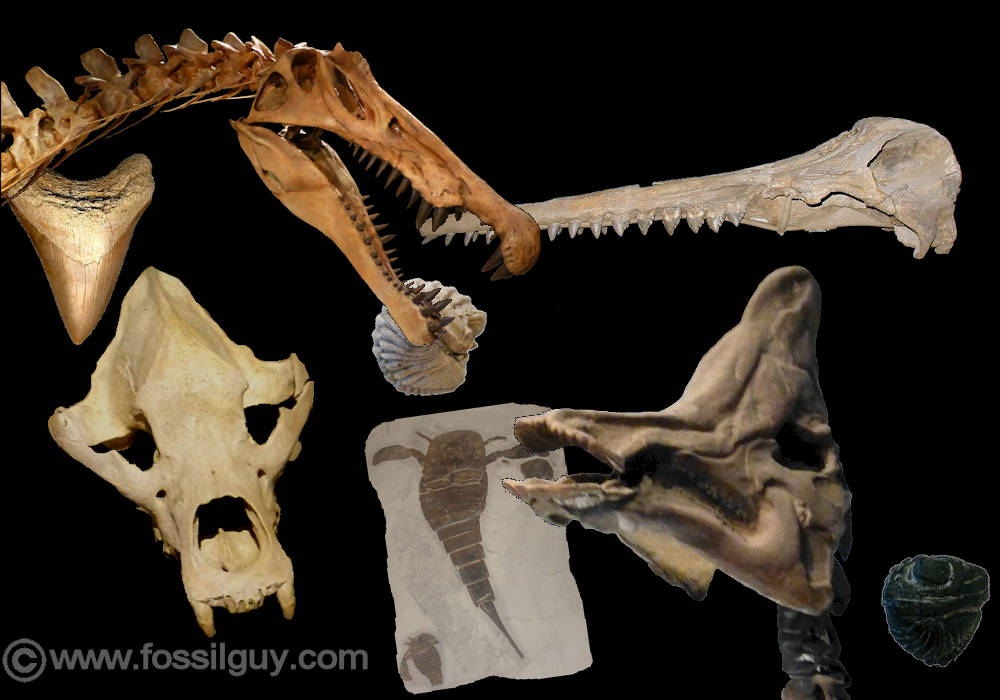 Learn the real science behind prehistoric animals