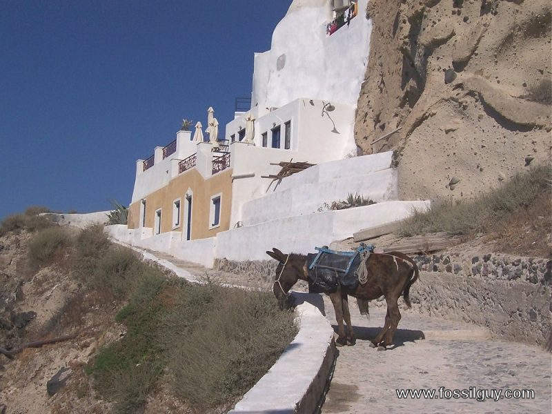 The cliffside that the houses are built into (beside the donkey is composed of a Tephra layer.