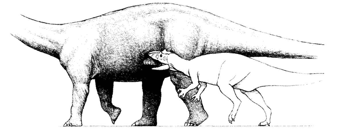 Figure 5 from Anton et al. 2003 showing the most plausible feeding strategy. The bite is powered both by the jaw and the neck muscles.
