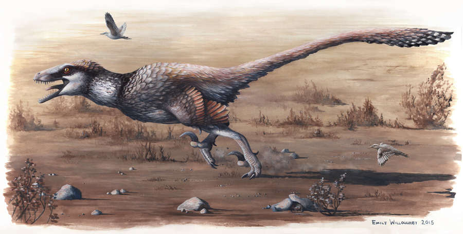 Life restoration of the giant dromaeosaurid Dakotaraptor steini, with the bird species Lamarqueavis petra and the mammal Purgatories in the foreground.
Image Credit: Emily Willoughby (CC BY-SA 4.0)