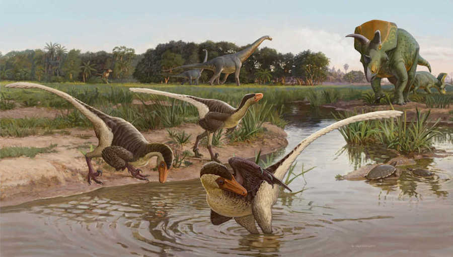 Life reconstruction of the raptor Dineobellator notohesperus depicting a possible scene from the Maastrichtian (approximately 66.5 Ma) in the San Juan Basin, New Mexico. Image Credit Sergey Krasovskiy (CC BY 4.0)