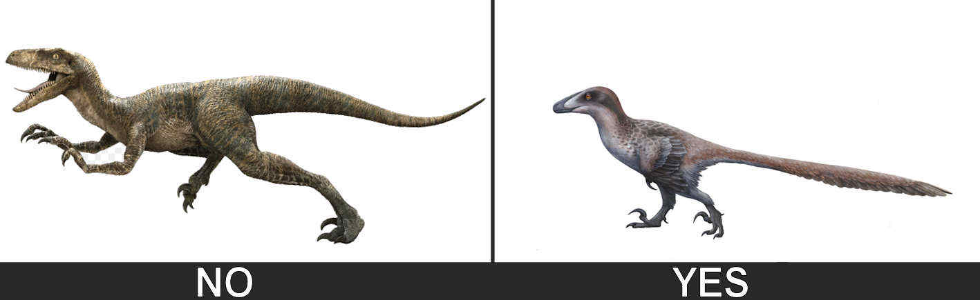 The left image is a typical pop-culture Jurassic Park style raptor. JP used Deinonychus as the base for their velociraptors.  The right image is the scientifically accurate version of Deinonychus. Right image is by Emily Willoughby
