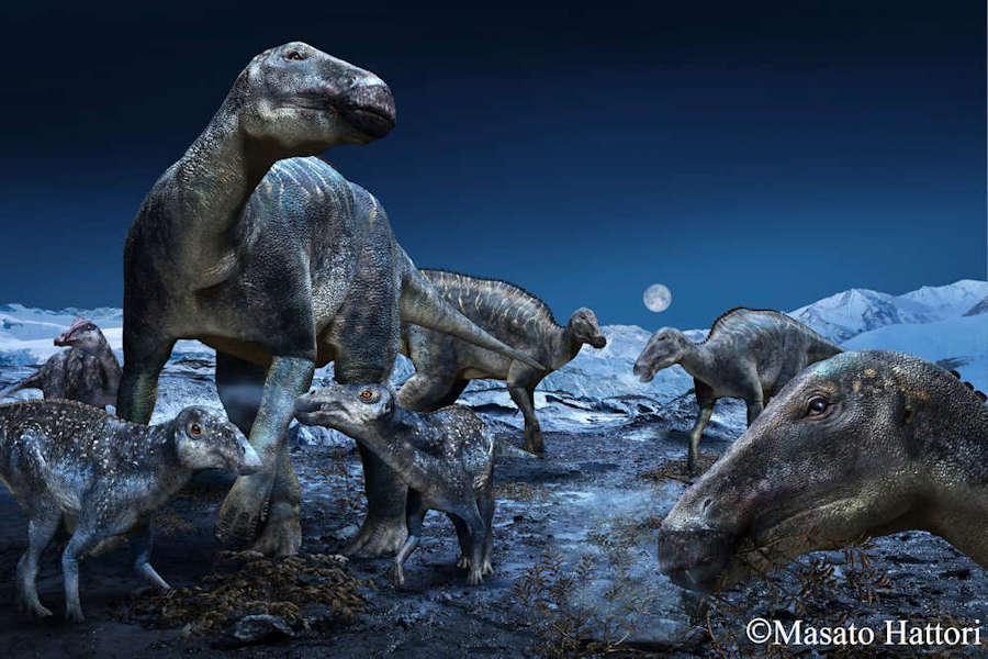 Image of the Polar Hadrosaurs in Alaska now known to be Edmontosaurus. Image Credit: Mataso Hattori.