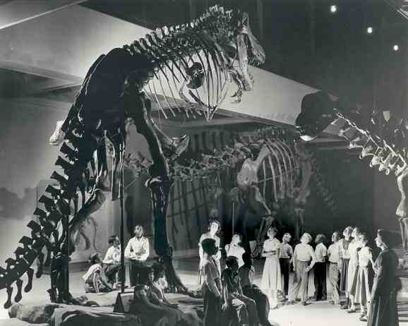 A historic photo of the holotype T. rex CM 9380 incorrectly mounted