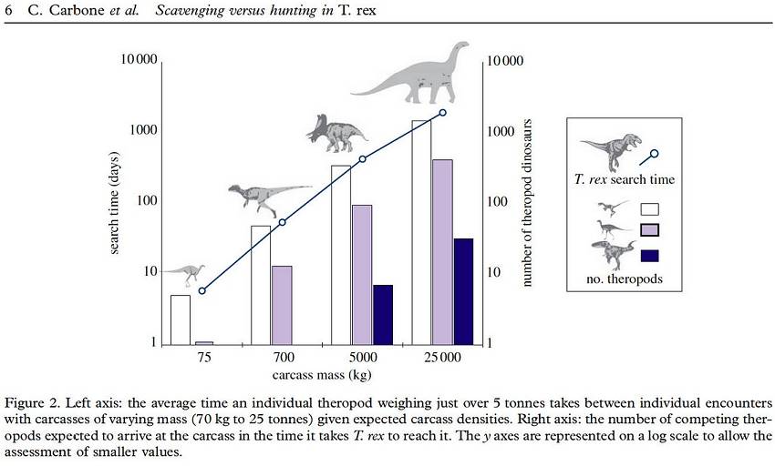 Figure 2 from Carbone et al (2011), showing the average time a T. rex would find a carcass compared to smaller dinosaurs.