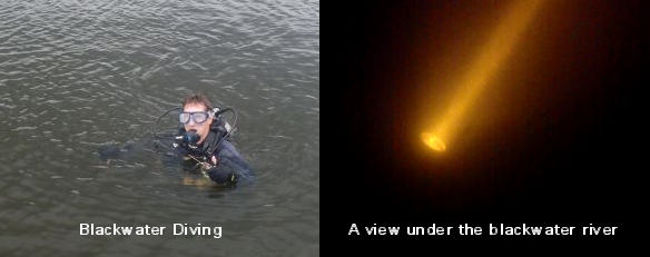 The Author Blackwater diving in the cooper river for megalodon shark teeth.  Notice, even with the underwater light, it's REALLY dark!