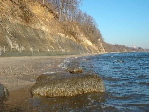 Calvert Cliffs of Maryland Fossil Hunting Site