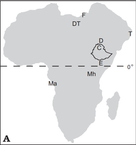 Figure 1A from Sanders et al., 2004 showing a map
of Afro-Arabia with important Paleogene terrestrial mammal sites