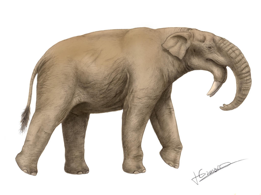 Deinotherium with offspring. Deinotherium was an enormous land mammal that  lived in Asia, Africa and Europe during the Miocene to Pleistocene Periods  Poster Print - Item # VARPSTCFR200653P - Posterazzi