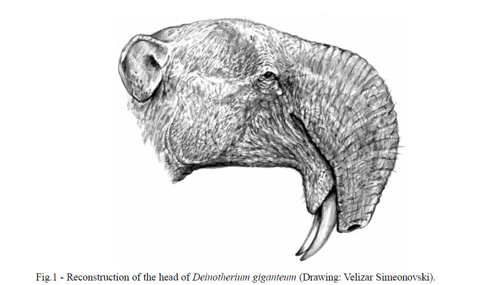 Deinotherium with offspring. Deinotherium was an enormous land mammal that  lived in Asia, Africa and Europe during the Miocene to Pleistocene Periods  Poster Print - Item # VARPSTCFR200653P - Posterazzi