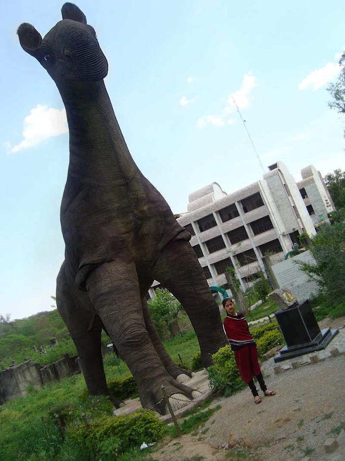 A life sized Paraceratherium outside of the Pakistan Museum of Natural History. Image credit:Ibn azhar (CC BY 3.0)